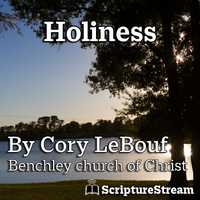 Holiness (2025)
