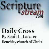 Daily Cross