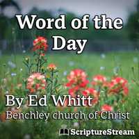 Word of the Day (2025)
