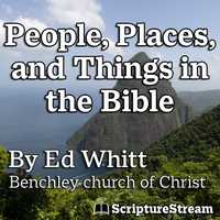 People, Places, and Things in the Bible (2024)
